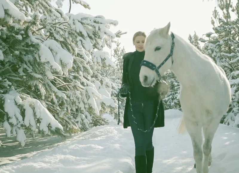 Ride with horses in the forest