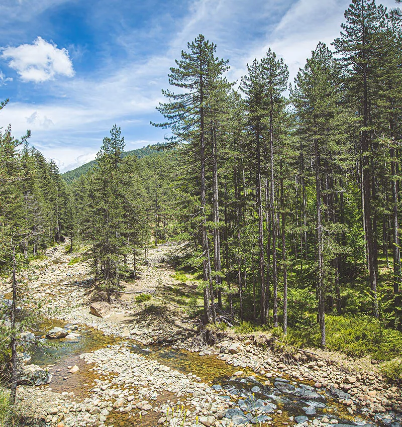 Hiking in Arkoudorema