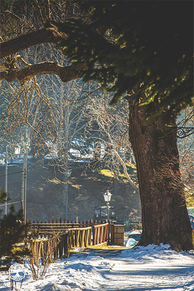 Φωτογραφίες από το Μέτσοβο