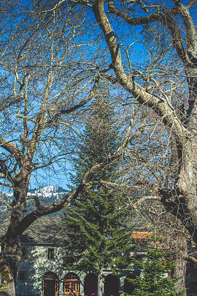 Φωτογραφίες από το Μέτσοβο