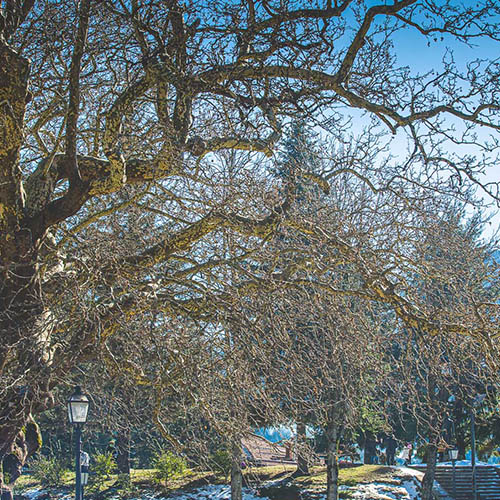 Φωτογραφίες από το Μέτσοβο