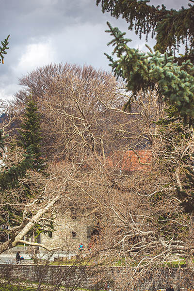 Φωτογραφίες από το Μέτσοβο