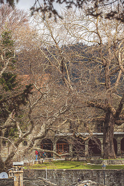 Φωτογραφίες από το Μέτσοβο