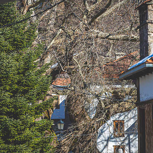 Φωτογραφίες από το Μέτσοβο