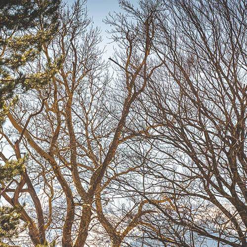 Φωτογραφίες από το Μέτσοβο