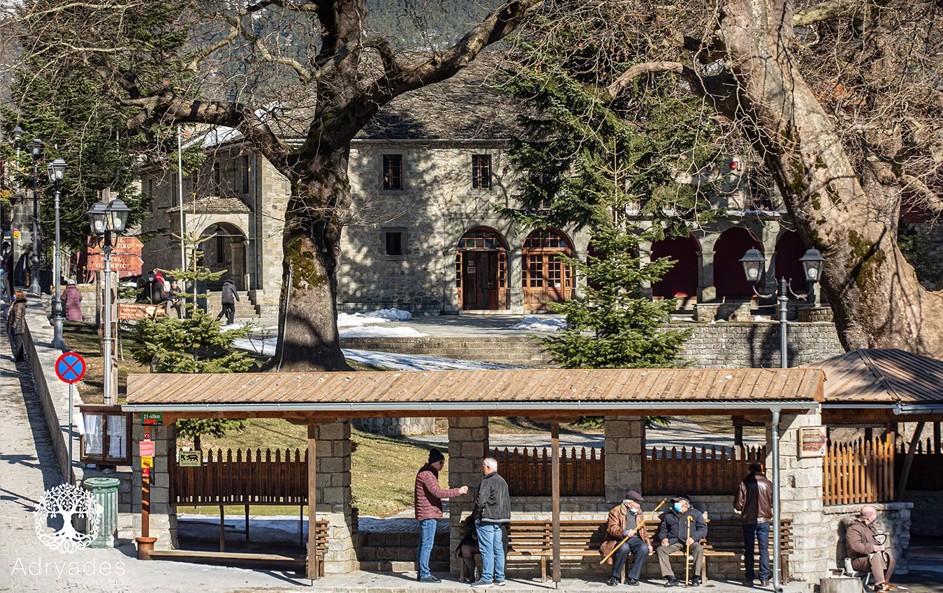 Excursion to Metsovo